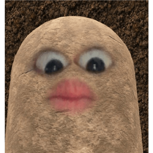 Potato 5