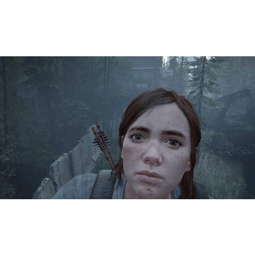 Ellie Williams TLOU 2 3