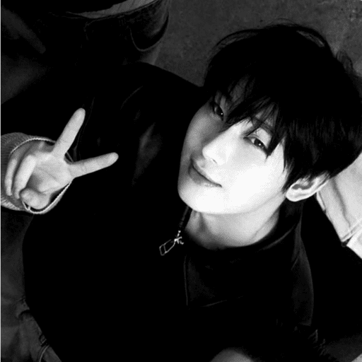 ✶₊˚. Sunoo (Dark) .˚₊✶ 3