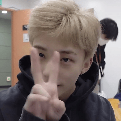 Stray kids  9