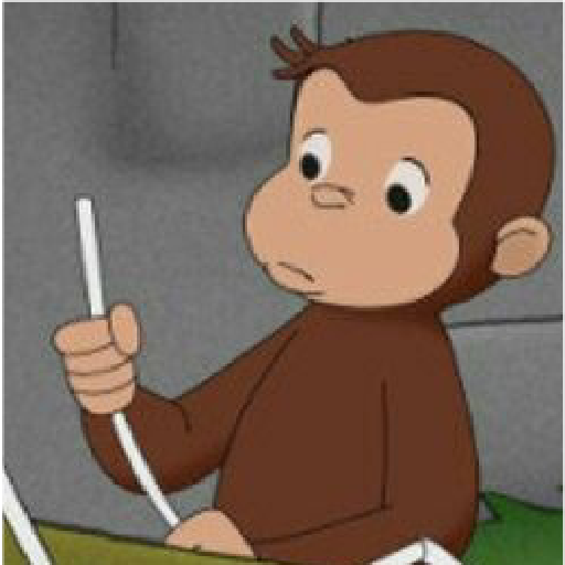 Curious George 25