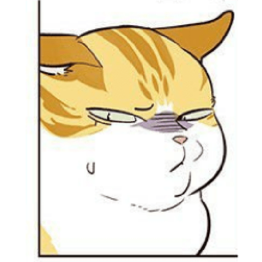 Manga 5