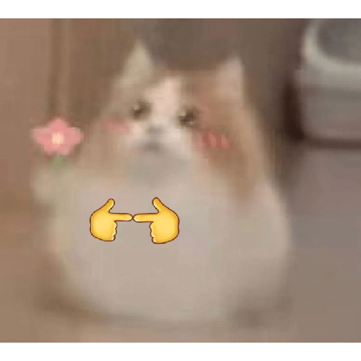 Lol 11