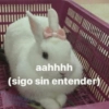 🫨Animalitos reacciones🫨 9