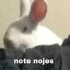 🫨Animalitos reacciones🫨 10