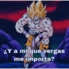 Goku memes 11