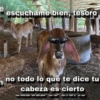 escúchame bien, tesoro no todo lo que te dice tu cabeza es cierto