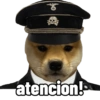 Perritos tácticos 🔥 10