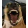 Me petrifiqué 12