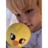 Felix skz 11