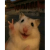 Meme kucing tikus anjing  17