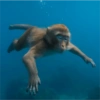 MOnKey reaCtioNs 🐵😝🧃 24