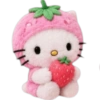 🎀 Hello Kitty Plush Mood 🎀💝 9