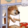 Reações tristes 😭😭 5