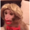 macaco 7 💄