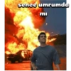 Yalı çapkını 2
