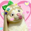 Meme Hurón Blanco TIKTOK ✨ 5