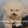 💕Animalitos con frases💕 7