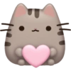 Gato com Coração