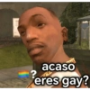 ? acaso eres gay?