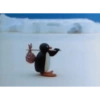 Pingüino Viajero