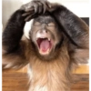 MOnKey reaCtioNs 🐵😝🧃 11