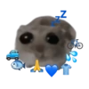 Sad Hamster 27