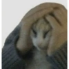 Gatitos  27