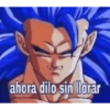 Goku memes 24