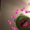 Kermit the frog 6