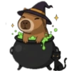 Capibara en Caldero