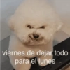 Random Shitpost #2 28
