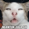 NGANTUK JUGA SIH