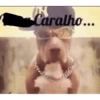 Caralho...