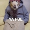 🫨Animalitos reacciones🫨 14