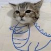 Gatinhos 19
