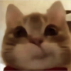🎀🐵🐈‍⬛ 18