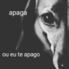 Surtos do dia a dia 10
