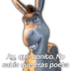 Shrek 1 7