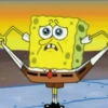 Bob esponja 5
