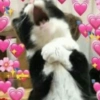 Explosión de Amor 5💕💘💓💗💖💝 14