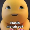 Masih marah ya?