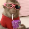 MOnKey reaCtioNs 🐵😝🧃 25