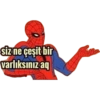 B13 7
