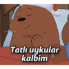 İyi gecelers 17