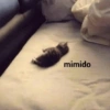 mimido