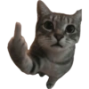 Memes de gatos 2 10