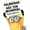 Zoando o Palmeiras  6