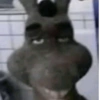 Shrek's donkey  5