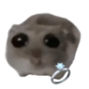 Sad Hamster 21